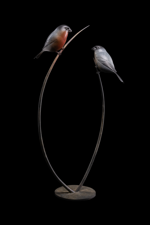 Bull Finches (Edition 14/24)