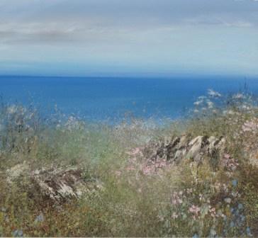 AMANDA HOSKIN - sea pinks on the north coast