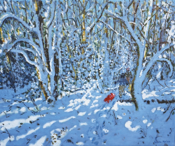 ANDREW MACARA  - red sledge, allestree park, derby
