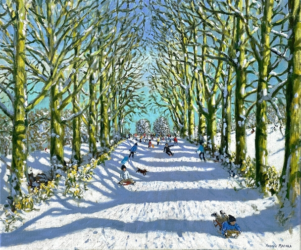 Fun in the Snow and Sun