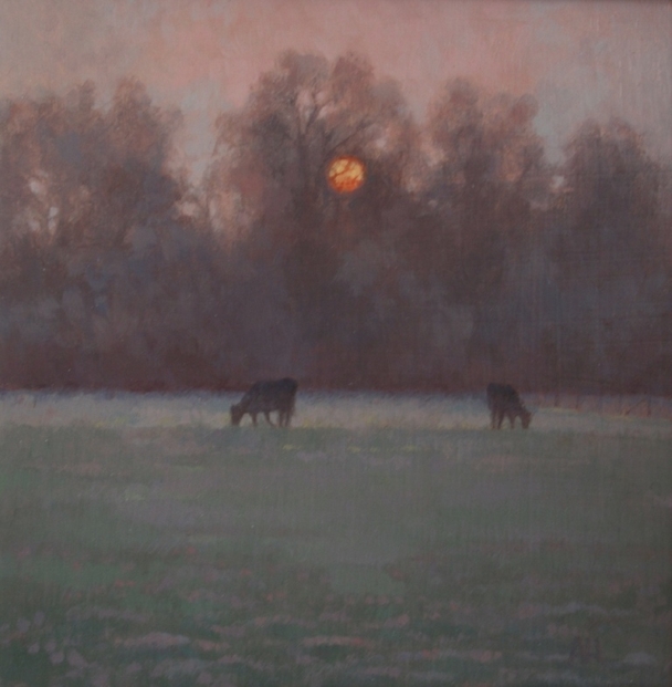 ANN HEAT RBA - two black cows in the morning