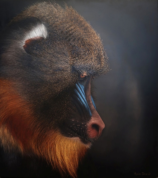 Mandrill
