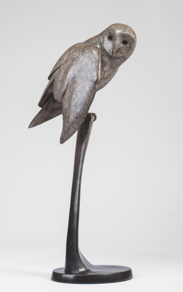 Barn Owl III (Edition 9/25)