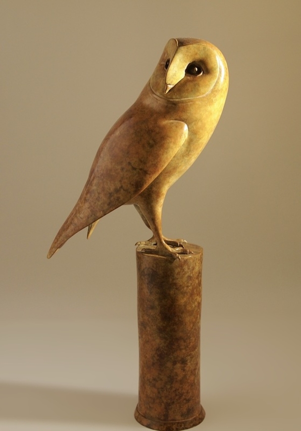 Barn Owl