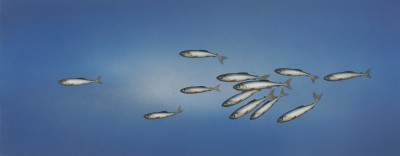 DONALD PROVAN - stretched