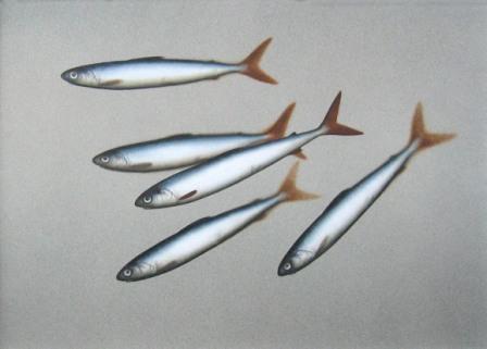 DONALD PROVAN - shoal on warm grey