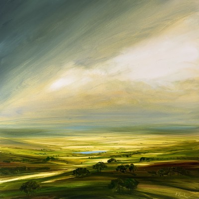 HARRY BRIOCHE - sunkissed hills