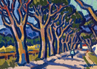 Tree Lined Road, Mallorca