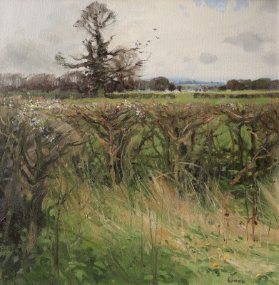 British Artist John Lines - A New Start