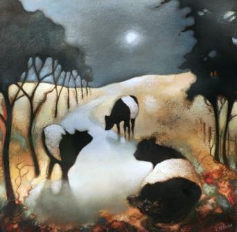 Belted Galloways, Under the Moon