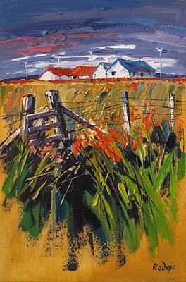 LYNN RODGIE - roadside flowers, lewis