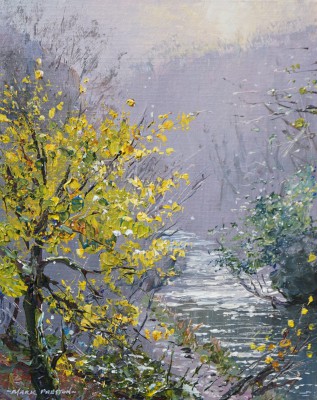 Autumn Sunlight, Dovedale