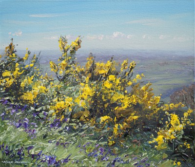 Springtime, Ashleyhay