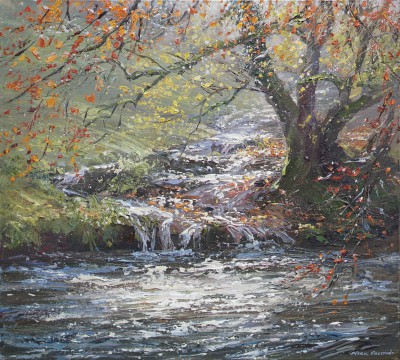 November Light, Miller's Dale