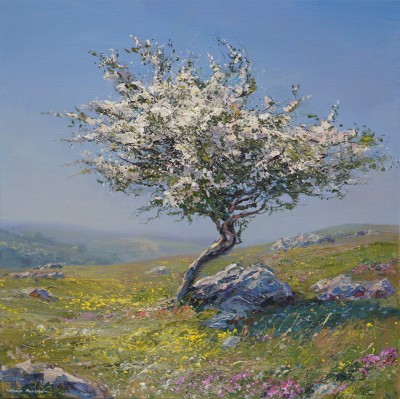 Mayblossom, Buttercups and Wild Thyme, Pilsbury