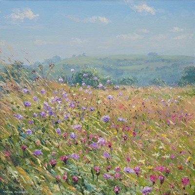 Meadow Flowers, Bonsall Moor