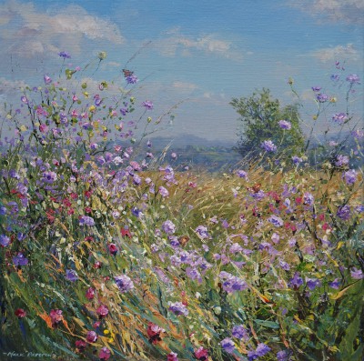 Butterflies and Meadow Flowers, Bonsall Moor
