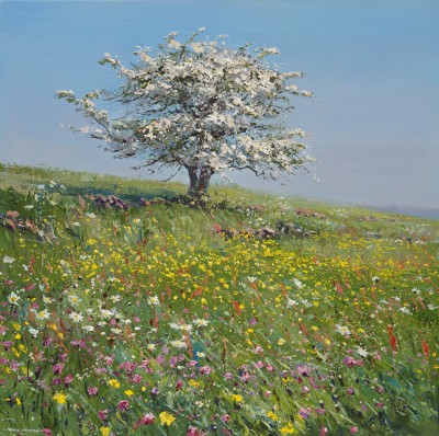 British Artist Mark Preston - Meadow Flowers and Mayblossom, Hollinsclough