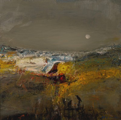 NAEL HANNA - field birds with moonlight