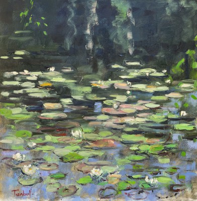 Waterlilies, Loch an Eilein