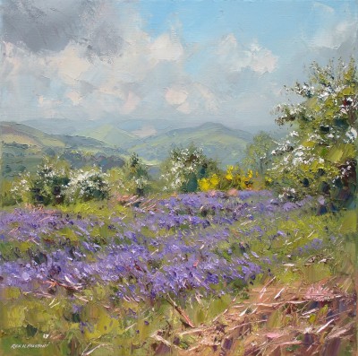 Mayblossom, Broom and Bluebells, Peak District