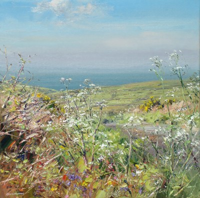 Cow Parsley, West Cornwall