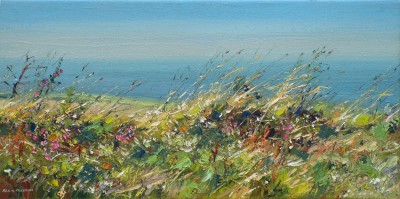 Summer Breeze, near Treen, Cornwall