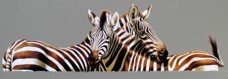 ROBINA YASMIN - a perfect match