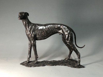 Spanish Greyhound (Galgo Espanol) Edition 1/15