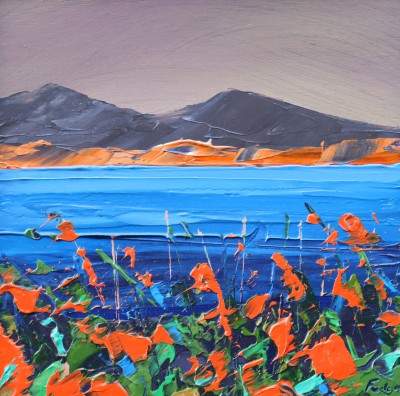 Montbretia Coast, Kerry