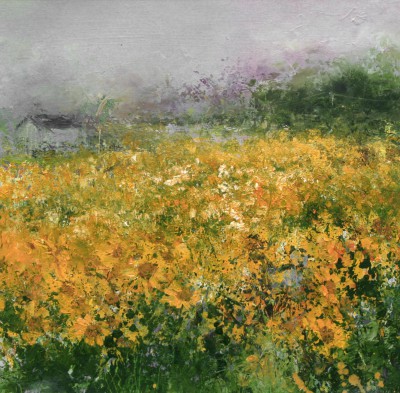 A Field of Sunshine, Penwith, Cornwall