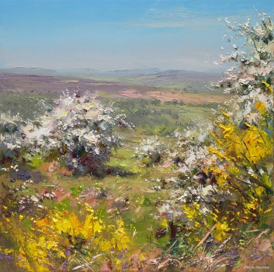 REX PRESTON - mayblossom and broom, hope valley